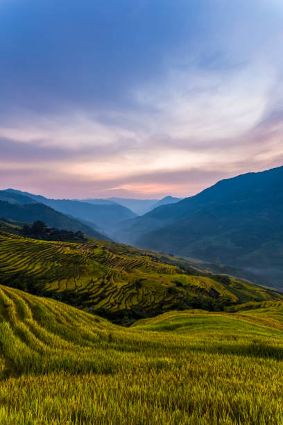 istock Longji Terraced Fields in Longsheng,Guilin,China 829950104