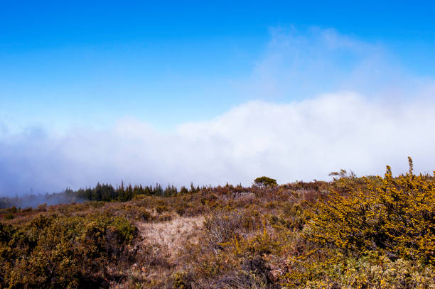 haleakalā 국립 공원 - haleakala national park badlands maui extreme terrain 뉴스 사진 이미지