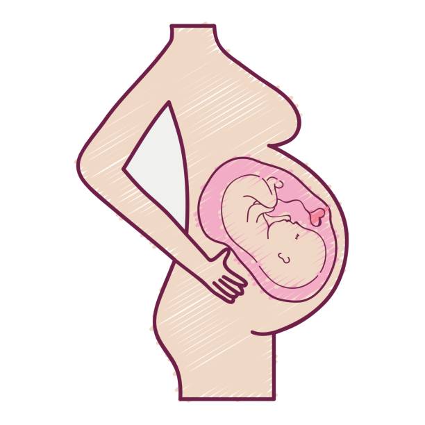istock motherhood with baby inside and ubilical cord 830003042