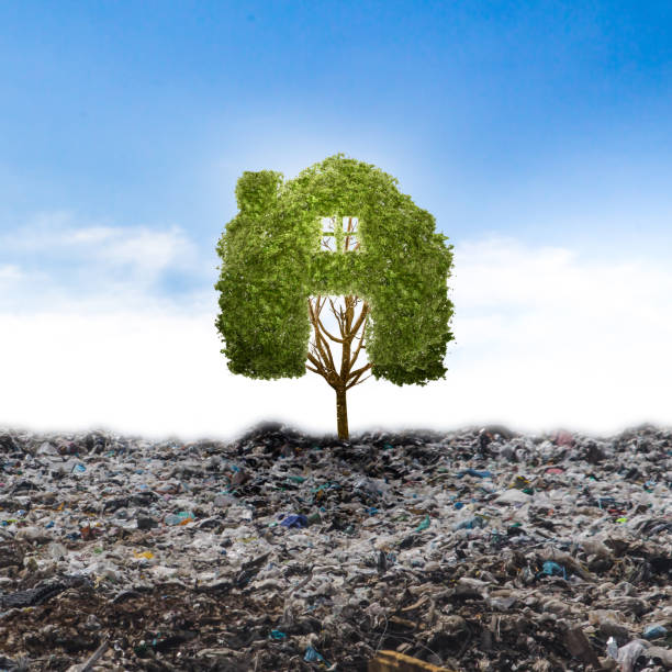 istock Concept recycle big alone tree in the garbage . Tree of life. 830014142