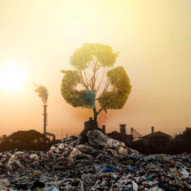 duże samo drzewo w śmieciach . drzewo życia. - landfill garbage dump garbage bird zdjęcia i obrazy z banku zdjęć