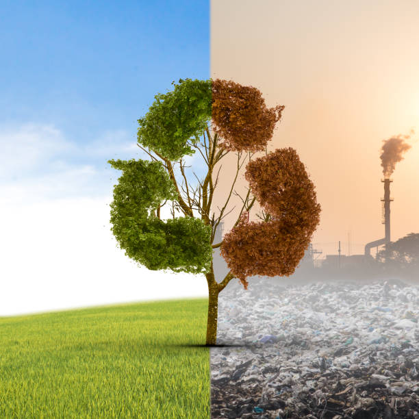 istock The concept of climate has changed. Half alive and half dead tree standing at the crossroads. The concept of world love and clean energy 830021864