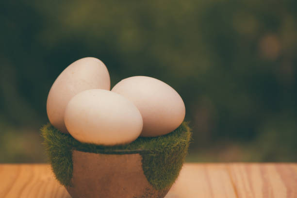 istock White egg on artificial grass in pot, on wooden table with green nature background. 830035808