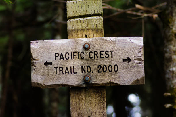 zeichen für trail 2000 pacific crest trail buchen - mt hood national park stock-fotos und bilder