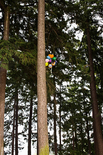 globos de árbol - warnock fotografías e imágenes de stock