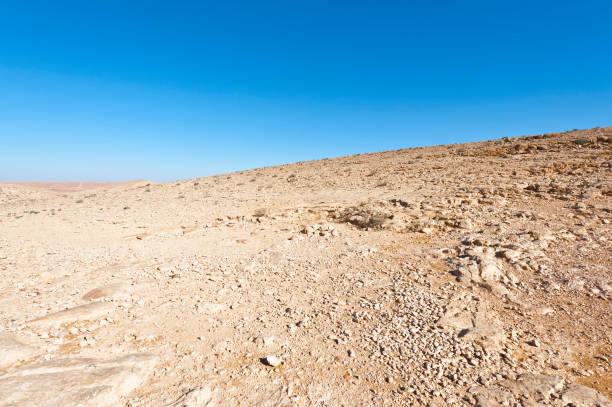 istock Stone Desert in Israel 830053192