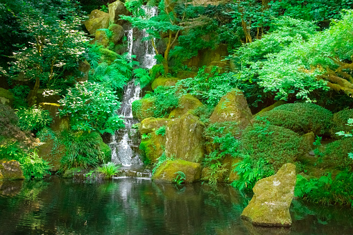 A small waterfall gently cascades down rocks into a calm koi pond in a Japanese Zen garden.