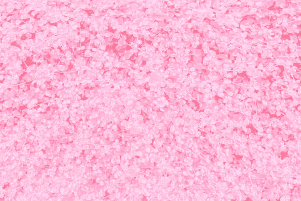 istock Pink with white and violet or purple color texture pattern abstract background 830067394