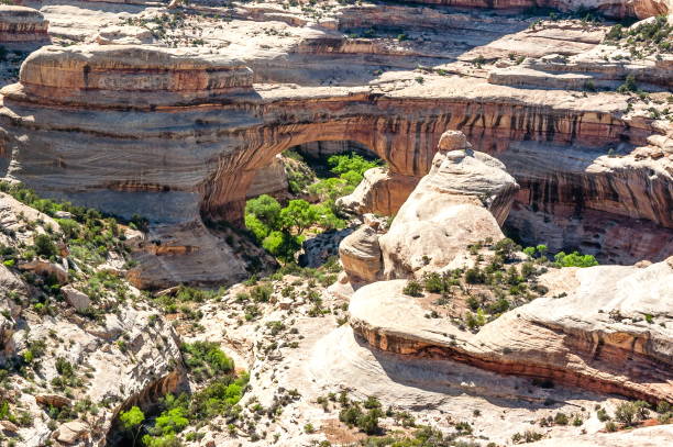 istock Natural Bridges National Monument, Utah-USA 830090578