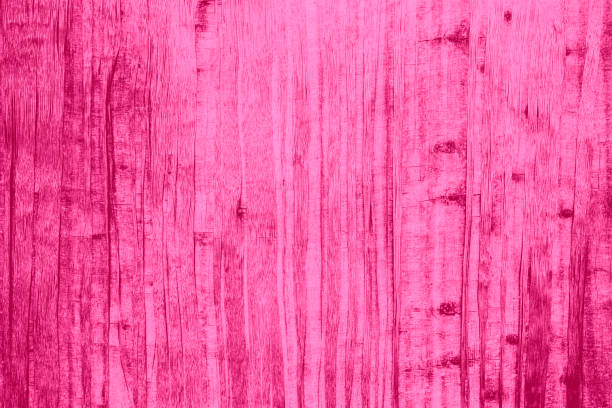 istock Pink with white and violet or purple color texture pattern abstract background can be use as wall paper screen saver brochure cover page or for presentation background also have copy space for text. 830109764