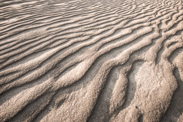 istock ripples of sand, textured background 830111936