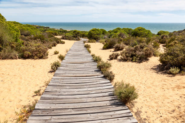 pasaje de madera en la playa - costa de la luz fotografías e imágenes de stock