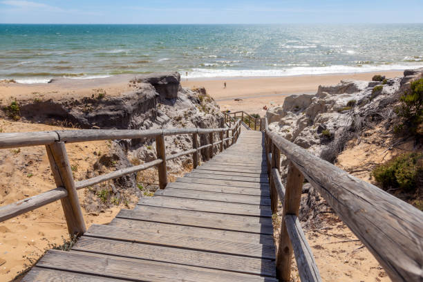 istock Stairway to the beach 830131708