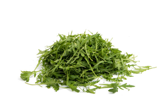 arugula stock photo