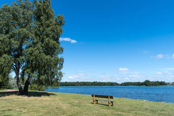 istock Wooden bench by seaside 830159028