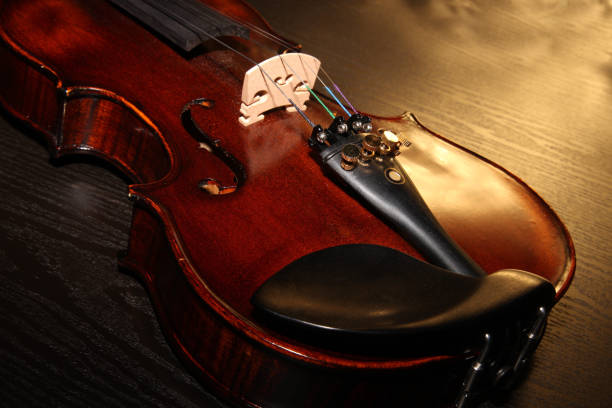 violino - violin equipment classical instrument light and shadow foto e immagini stock