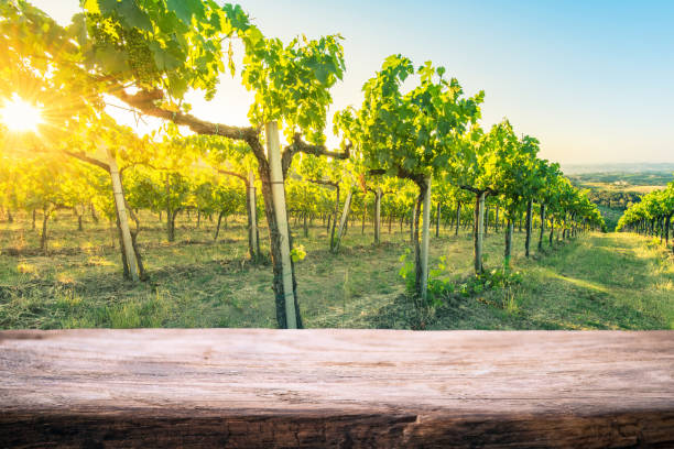 istock Tuscany wineyard, wooden empty product montage display template 830195420