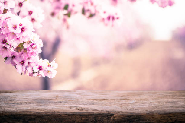 istock Wooden board template with floral design 830198414