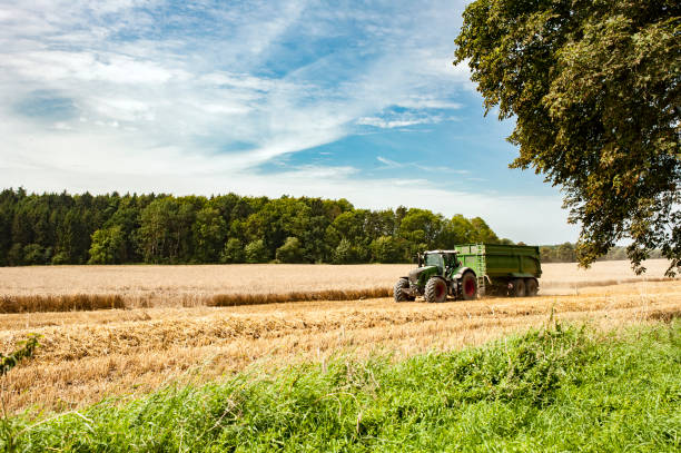 german agriculture - german countryside imagens e fotografias de stock