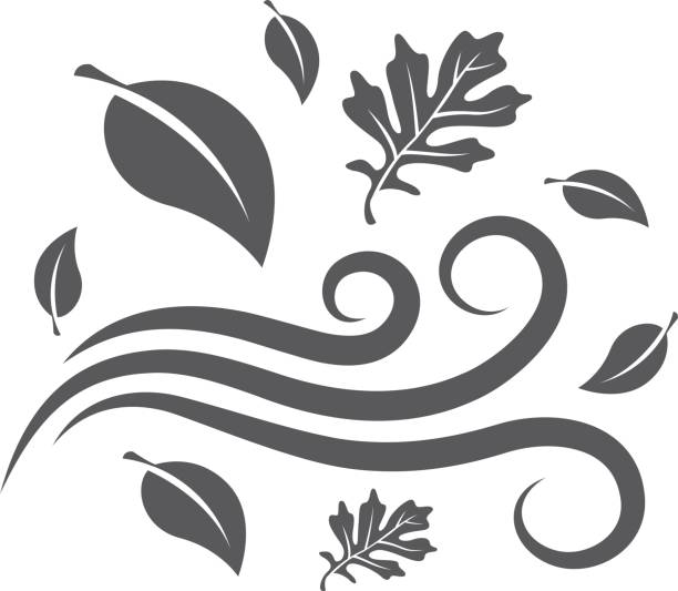 bw アイコン - 秋の葉 - maple leaf leaf autumn single object点のイラスト素材／クリップアート素材／マンガ素材／アイコン素材