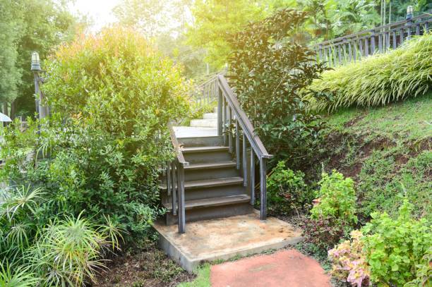 istock stair in nature garden 830217294