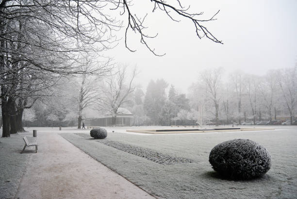 istock Branches covered hoar-frost in the park a winter day 830224060