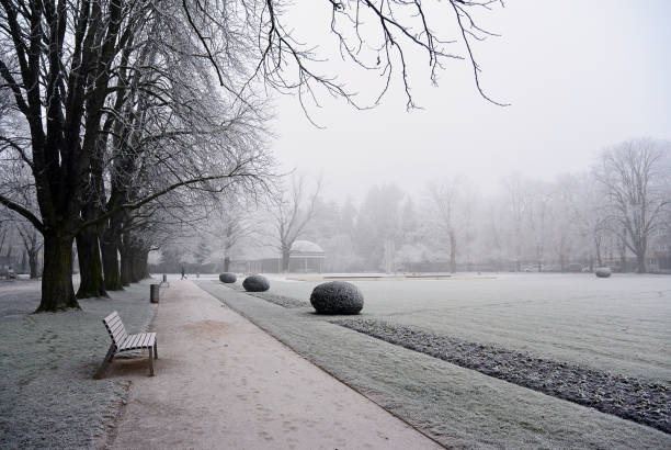 istock Branches covered hoar-frost in the park a winter day 830224064