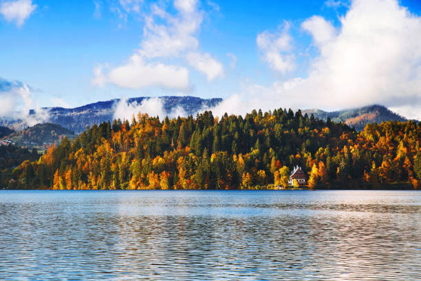 istock Lake autumn scenery in October. 830229428