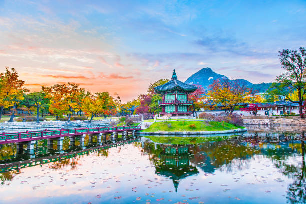 herbst der gyeongbokgung palast in seoul, korea. - südkorea fotos stock-fotos und bilder