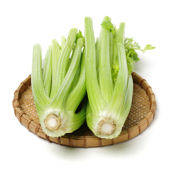 celery isolated on white background - 11262 imagens e fotografias de stock