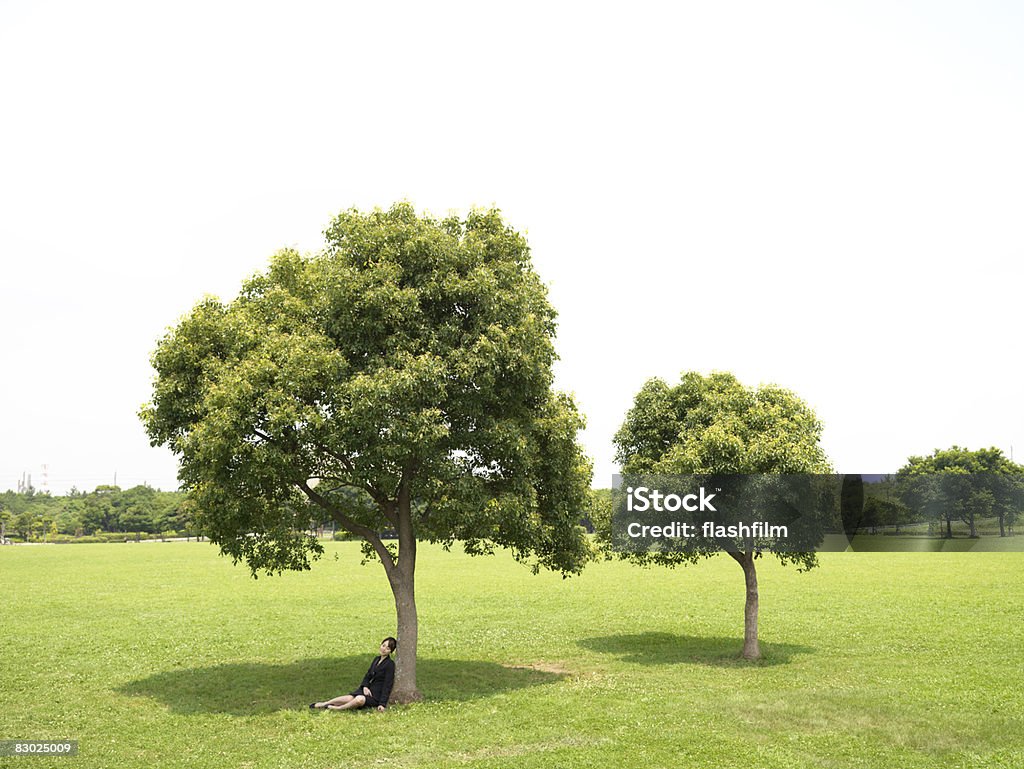 Japanese bussiness woman sleeping in park   Tree Stock Photo