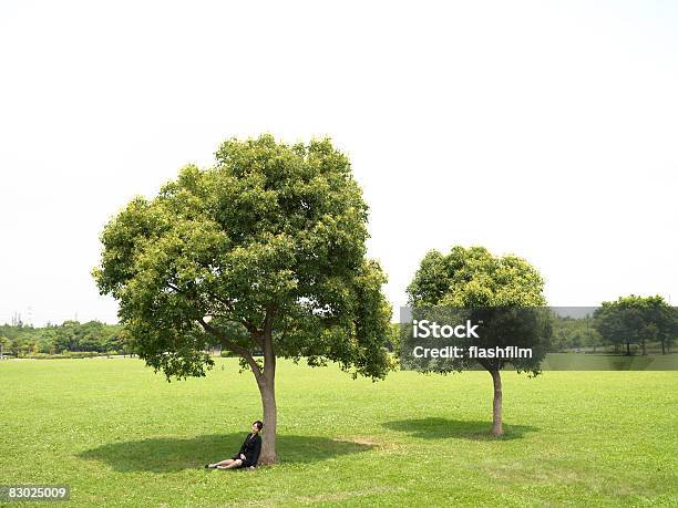 Japanese Bussiness Woman Sleeping In Park Stock Photo - Download Image Now - Tree, City, One Person
