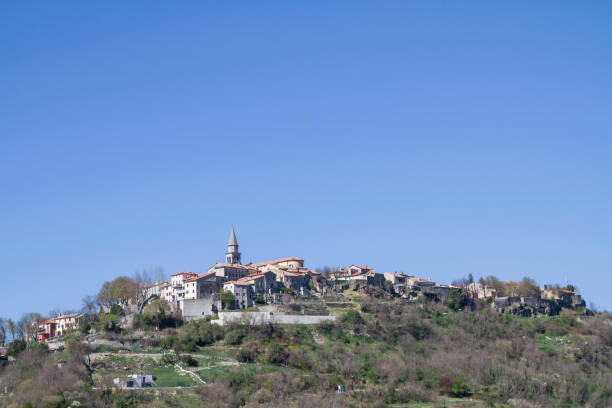 istock Buje - town in Istria 830260824