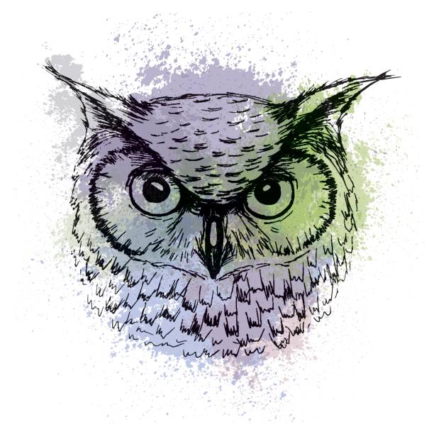 istock Vector sketch of owl head on a background of colored watercolor stains 830262022