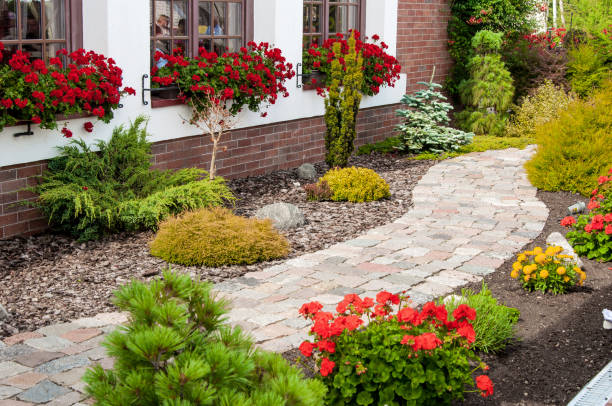 Beautiful flower garden