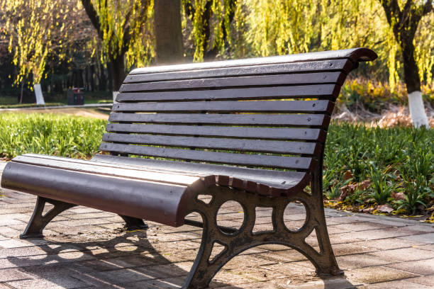 istock Bench in a park on sunny day 830268474