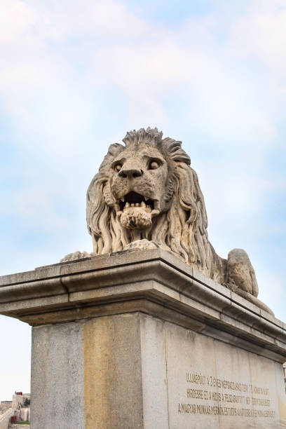 istock Close up lion statue at the Chain bridge, Budapest, Hungary 830270904