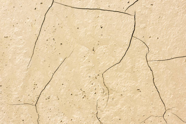 istock details of a dried cracked seabed 830277566