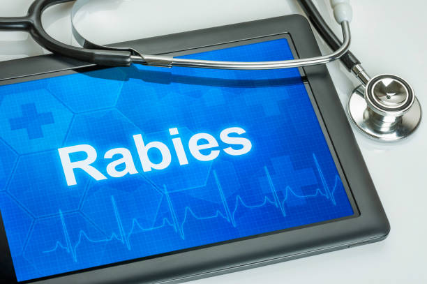 istock Tablet with the diagnosis Rabies on the display 830277808