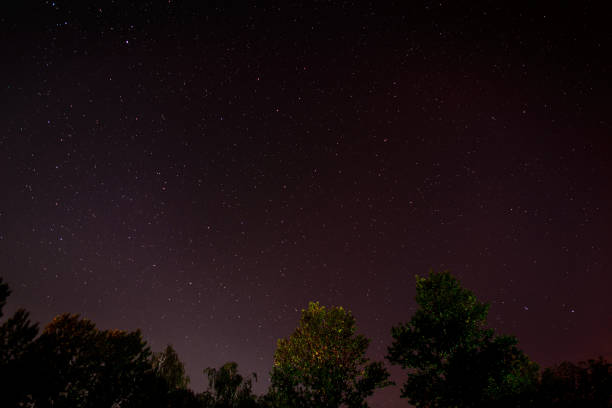 istock Blue dark night sky with many stars 830284318