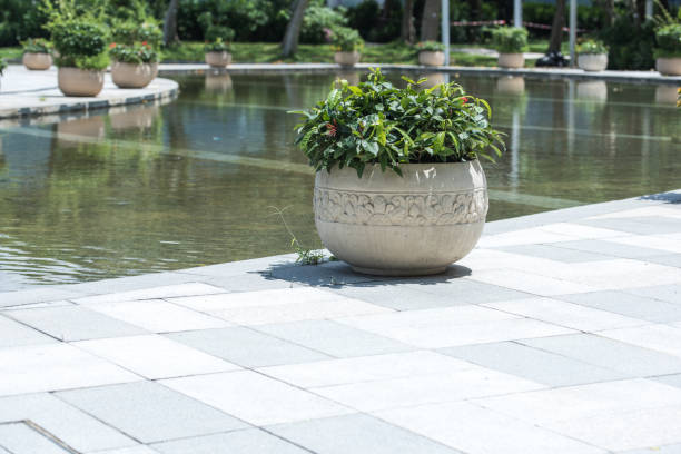 istock Plant pot near lake 830293268