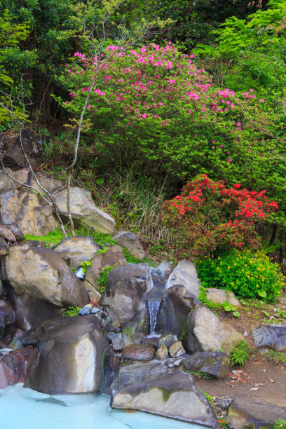 istock Garden near hot spring in Kirishima japan. 830299318