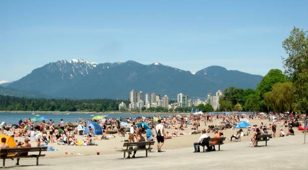 kitsilano beach è la spiaggia più sociale di vancouver, bc, canada - bench mountain park sitting foto e immagini stock