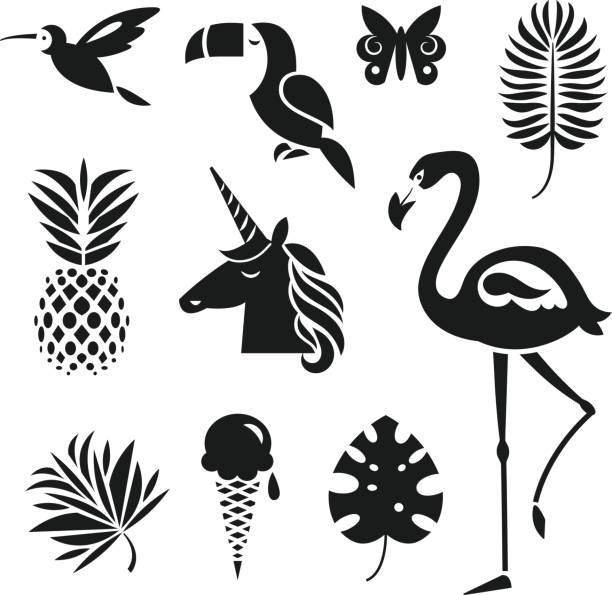 set of design elements tropical theme vector art illustration