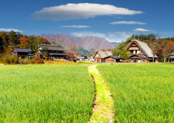 fall season of Historic Villages of Shirakawa-go and Gokayama, Japan The fall season of Historic Villages of Shirakawa-go and Gokayama, Japan ancient villages stock pictures, royalty-free photos & images