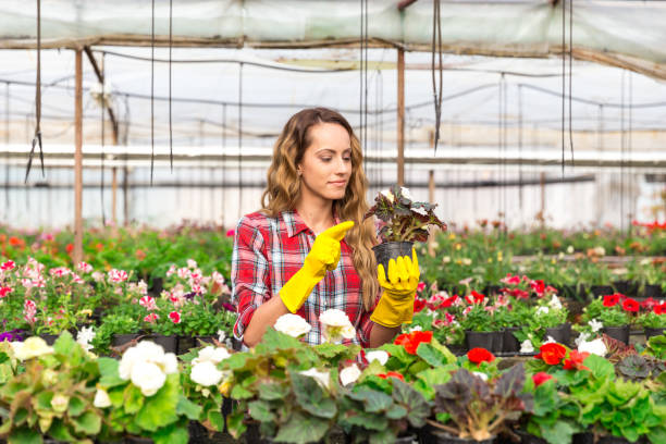 istock Greenhouse employee holding potted flower 830353196