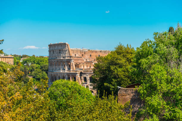 istock Walls of Colosseum behind trees 830356078