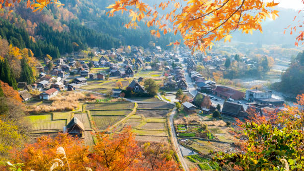 fall season of Historic Villages of Shirakawa-go and Gokayama, Japan The fall season of Historic Villages of Shirakawa-go and Gokayama, Japan ancient villages stock pictures, royalty-free photos & images