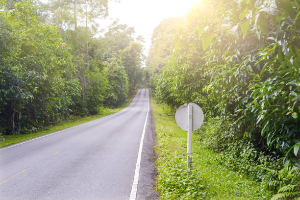 Main street in mountain tropical forest with traffic sign and sunlight.Beautiful landscape of nature street through wonderful forest and sunlight.Nature Scene on a day.Goal of success concept. calle principal en el bosque tropical de montaña con la señal de tráfico y la luz del sol. hermoso paisaje de la calle a través de la luz del sol y el maravilloso bosque de la naturaleza. escena de la naturaleza en un día. objetivo del concepto de éxito.