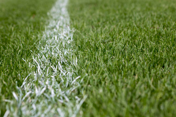 белая полоса маркировки на зеленой траве - soccer soccer field artificial turf man made material стоковые фото и изображения